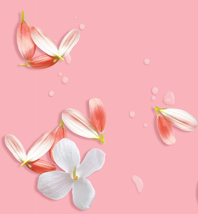 Render of pink flower petals and water droplets developed for Gillette Venus, showcasing cpg branding and identity design services.